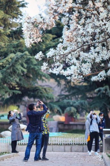 大连春季旅游攻略-春季大连攻略旅游路线