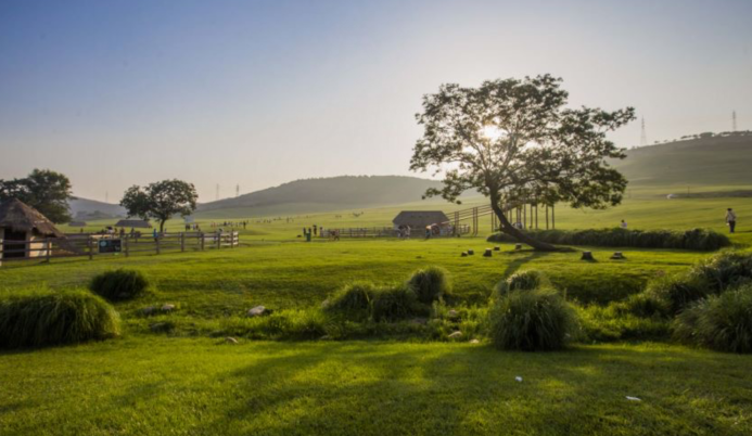 春季大连攻略旅游路线_大连春季旅游攻略_春节大连旅游攻略