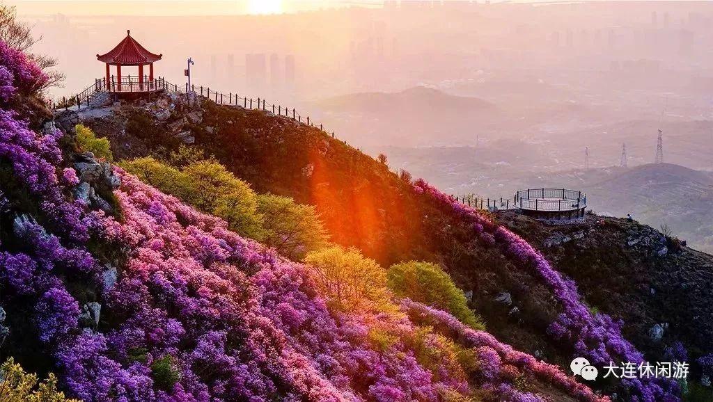春季大连攻略旅游路线_春季大连攻略旅游景点推荐_大连春季旅游攻略