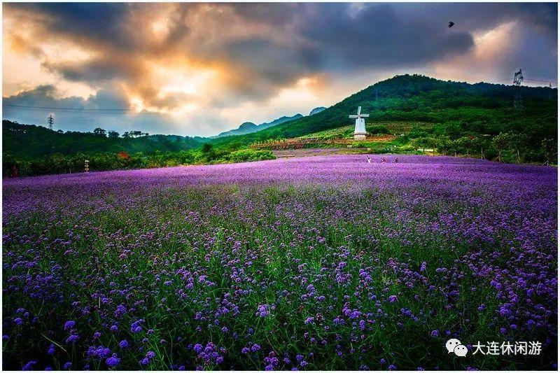 大连春季旅游攻略_春季大连攻略旅游景点推荐_春季大连攻略旅游路线