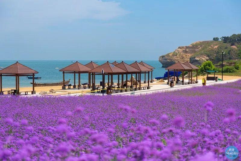 大连春季旅游攻略_春季大连攻略旅游路线_春季大连攻略旅游景点推荐