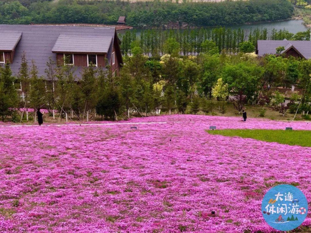 春季大连攻略旅游景点推荐_春季大连攻略旅游路线_大连春季旅游攻略