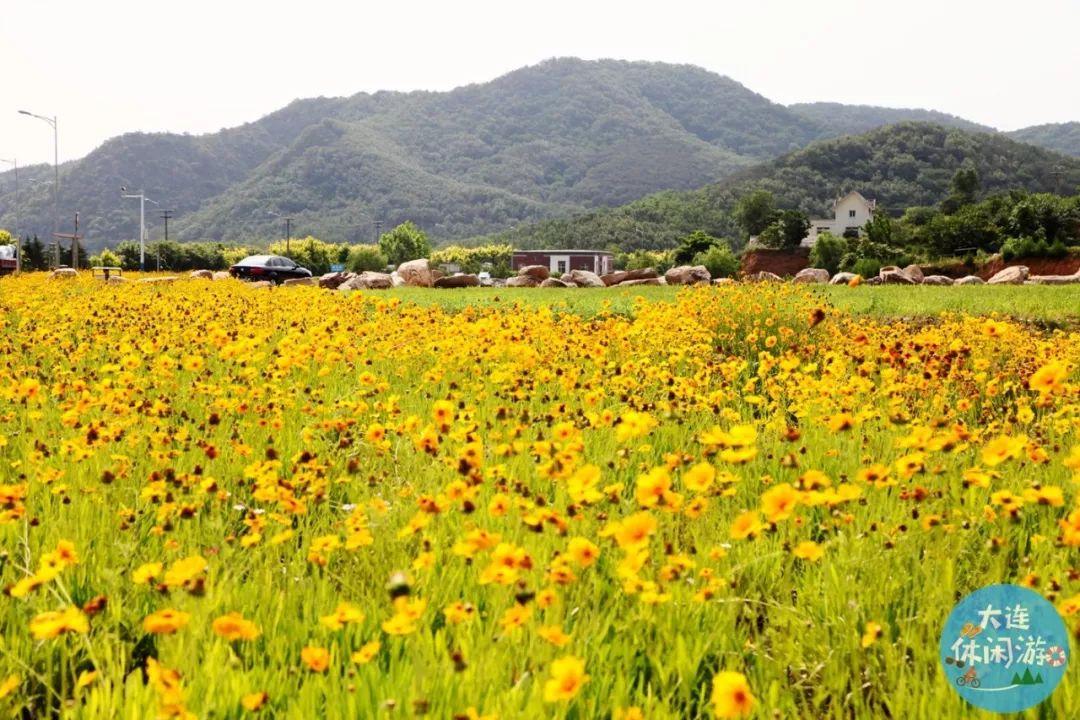 春季大连攻略旅游路线_春季大连攻略旅游景点推荐_大连春季旅游攻略