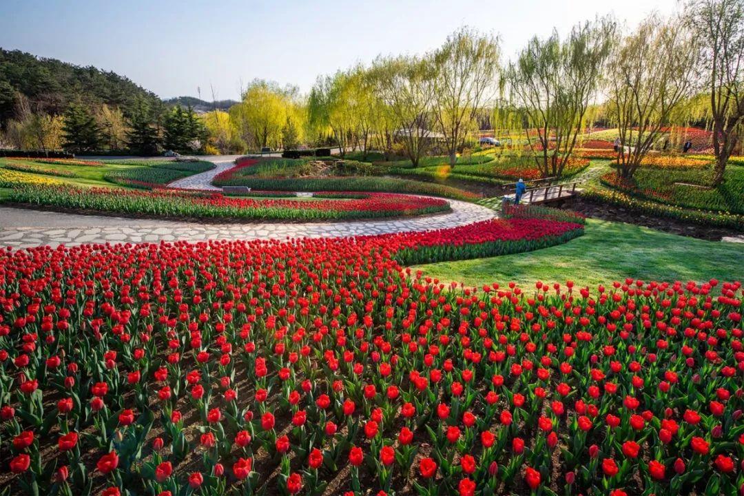 春季大连攻略旅游路线_大连春季旅游攻略_春季大连攻略旅游景点推荐