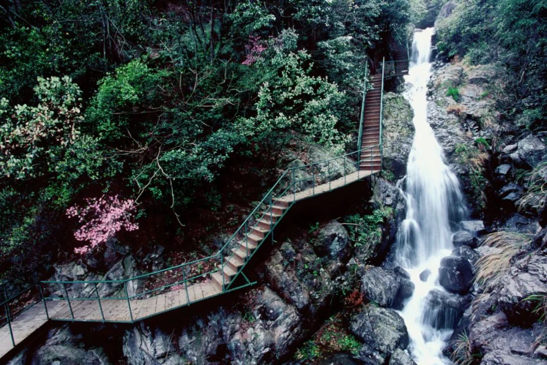 浙江省天目山景区_浙江天目山旅游攻略_浙江天目山景区门票价格