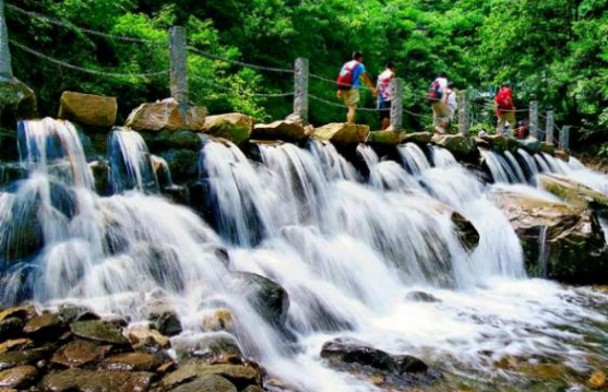 浙江省天目山景区_浙江天目山旅游攻略_浙江天目山景区门票价格