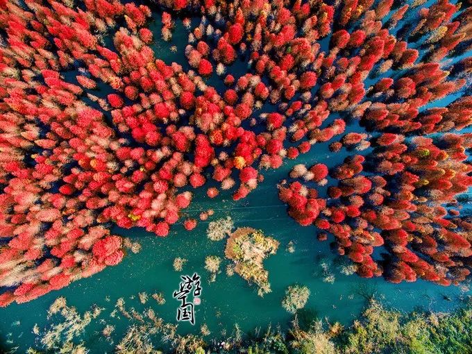 浙江天目山旅游攻略_攻略浙江旅游天目山路线_浙江天目山属于什么山脉