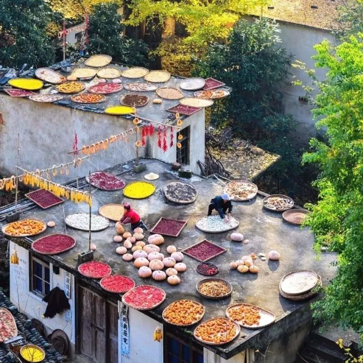 攻略浙江旅游天目山路线_浙江天目山属于什么山脉_浙江天目山旅游攻略