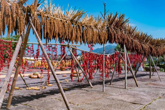 浙江天目山属于什么山脉_浙江天目山旅游攻略_攻略浙江旅游天目山路线