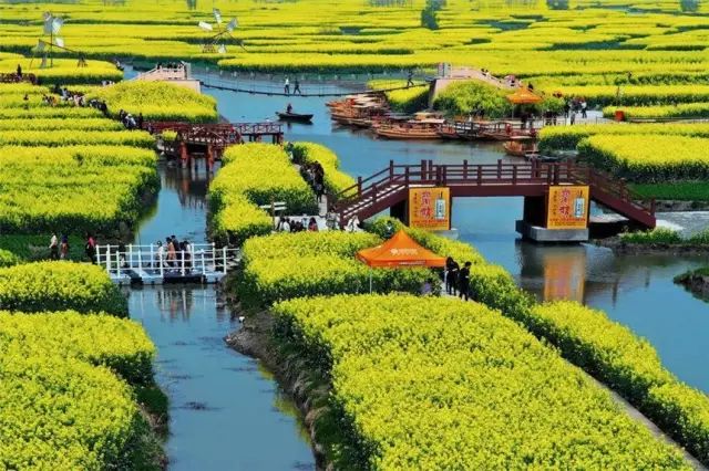 浙江天目山旅游攻略_攻略浙江旅游天目山路线_浙江天目山属于什么山脉