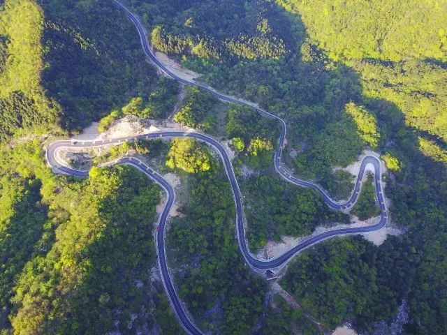 攻略浙江旅游天目山路线_浙江天目山旅游攻略_浙江天目山属于什么山脉