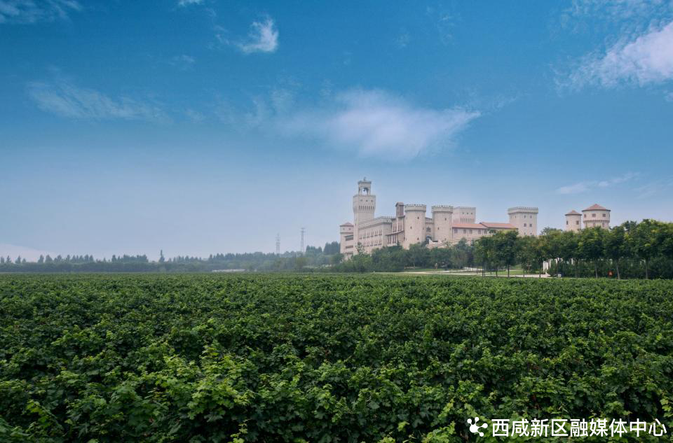 张裕瑞那庄园旅游攻略-张裕庄园门票价格