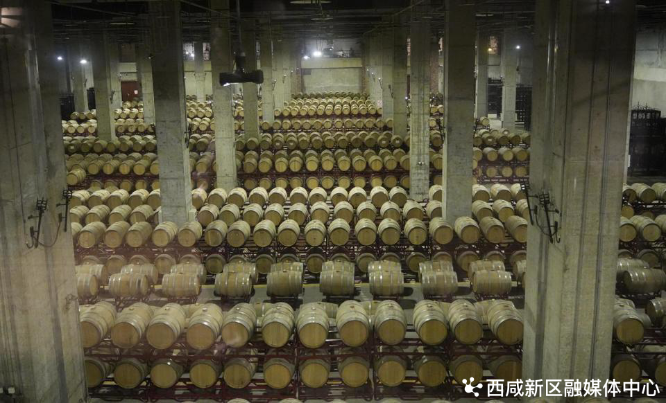 张裕瑞那庄园旅游攻略_张裕庄园门票价格_张裕酒庄旅游攻略