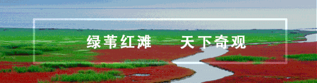 盘锦红海滩旅游攻略-盘锦有红海滩一日游