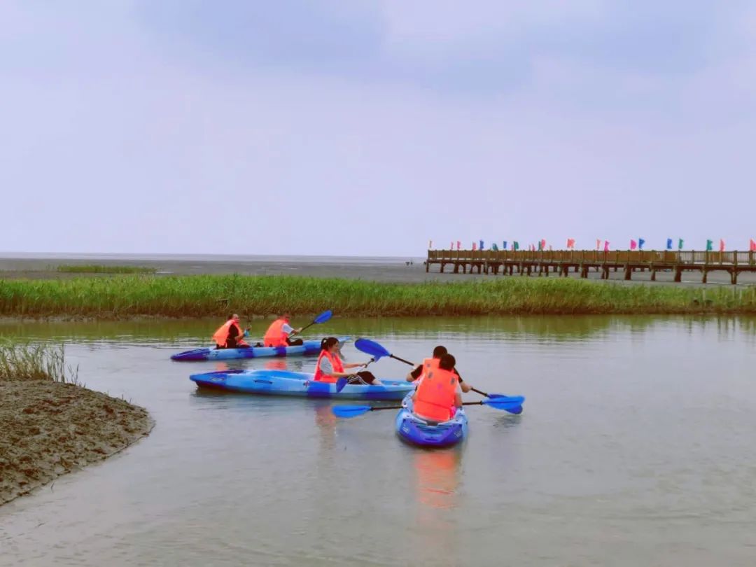 盘锦红海滩最美的地段_盘锦有红海滩一日游_盘锦红海滩旅游攻略