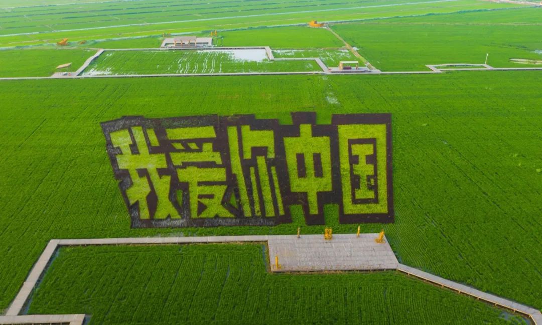 盘锦红海滩旅游攻略_盘锦有红海滩一日游_盘锦红海滩最美的地段