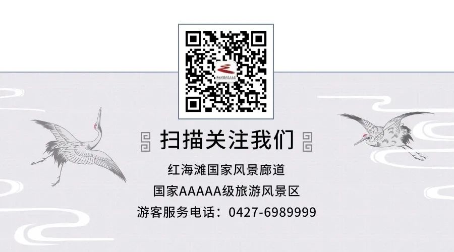 盘锦红海滩最美的地段_盘锦有红海滩一日游_盘锦红海滩旅游攻略