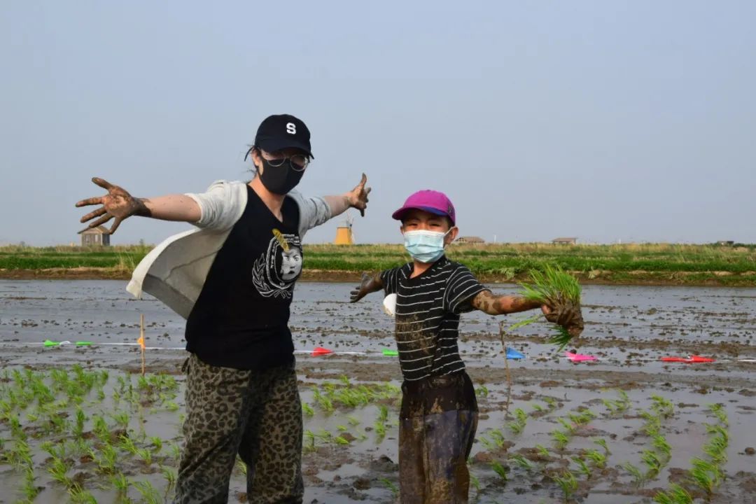 盘锦红海滩旅游攻略_盘锦红海滩最美的地段_盘锦有红海滩一日游