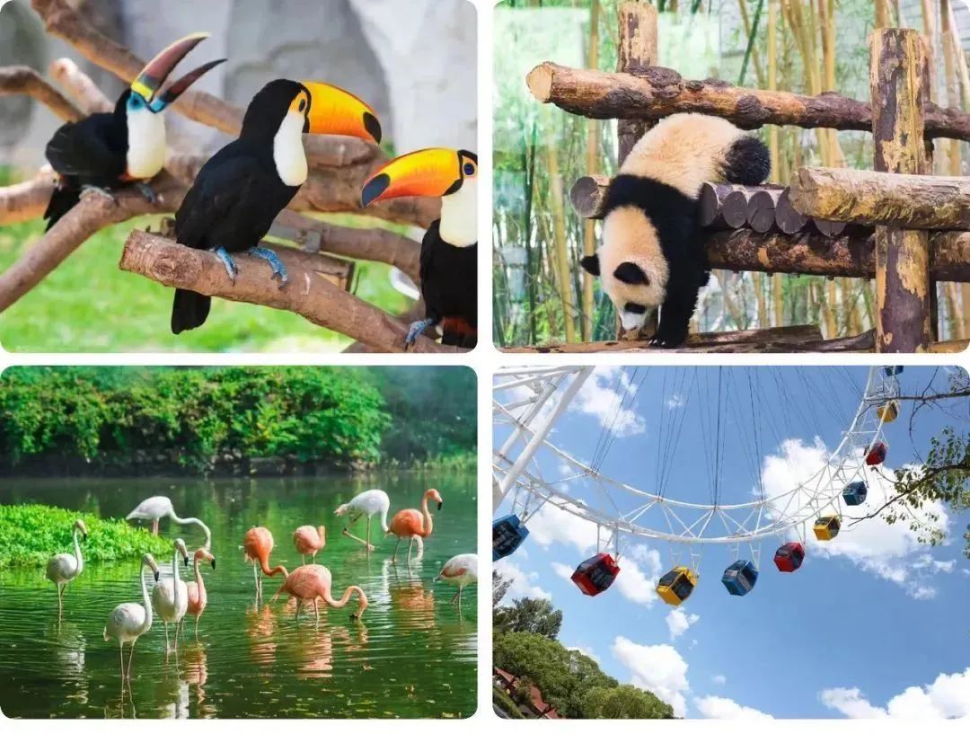 上海时尚酒店排名_上海时尚宾馆_上海时尚酒店