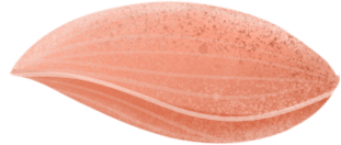 时尚发廊装修_装修时尚发廊图片_装修时尚发廊效果图