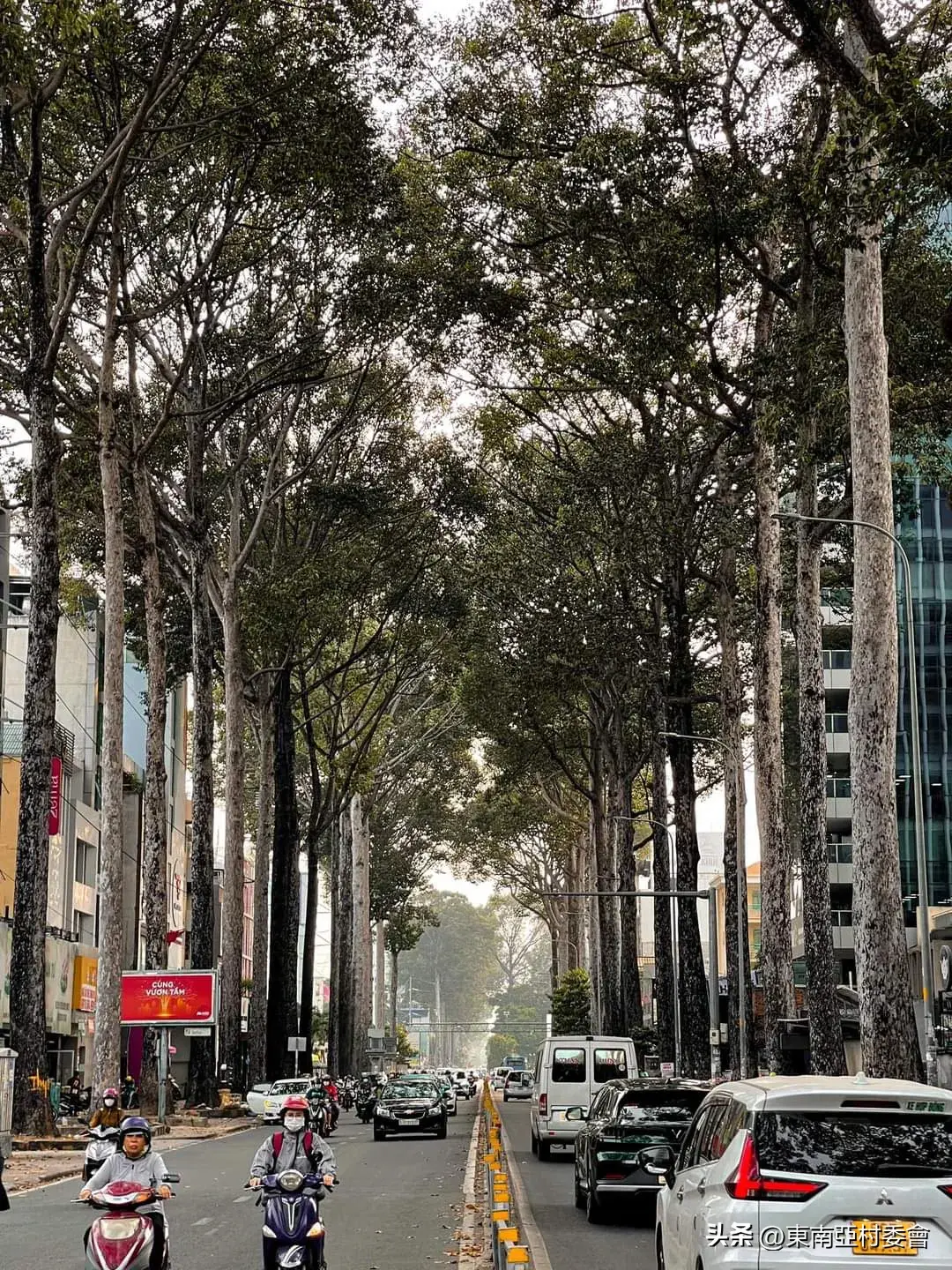 香港西贡一日旅游攻略_香港西贡游玩攻略_香港西贡旅游攻略