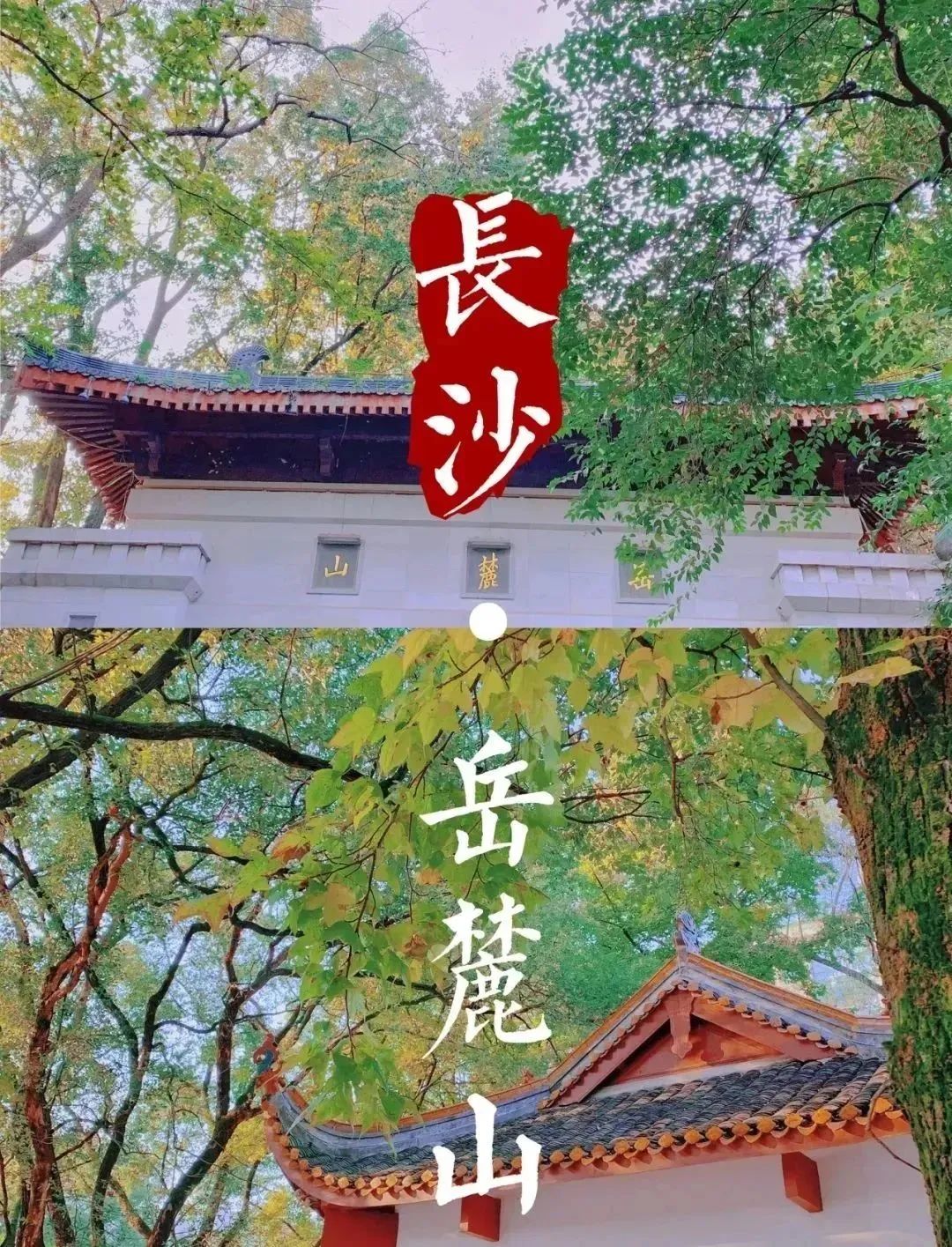 长沙凤凰古城旅游攻略_长沙旅游攻略景点必去凤凰古城_长沙至凤凰旅游攻略