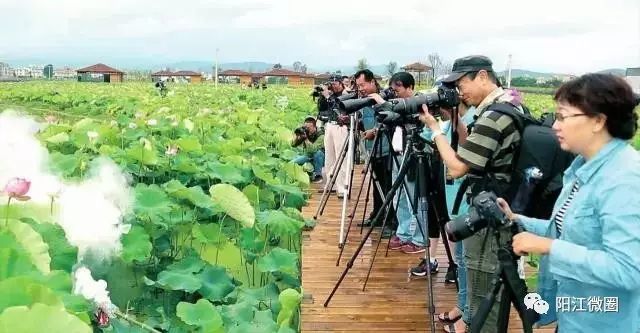 阳江东平镇旅游攻略_阳江东平镇有什么好玩_攻略阳江东平镇旅游景区