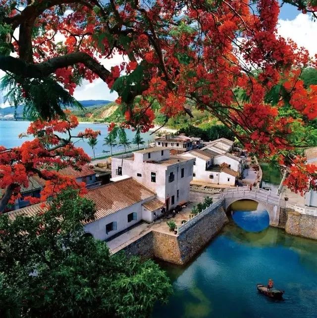 阳江东平镇旅游攻略_攻略阳江东平镇旅游景区_阳江东平镇旅游景点