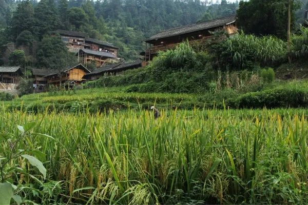 从凯里去镇远古城怎么坐车_凯里去镇远古镇怎么走_凯里到镇远旅游攻略