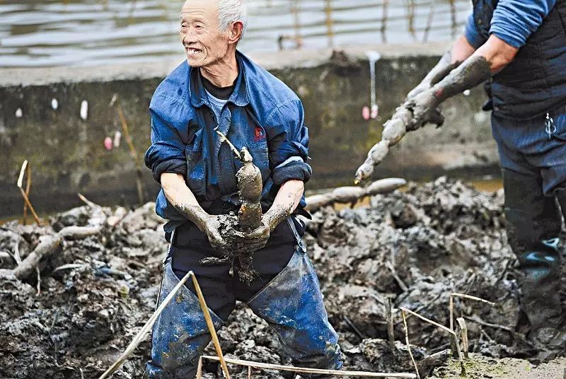 攻略阳江东平镇旅游景区_阳江东平镇旅游景点_阳江东平镇旅游攻略