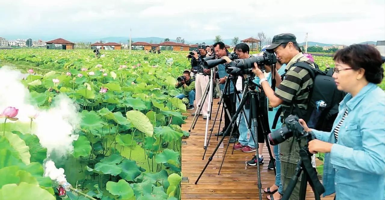 阳江东平镇旅游攻略_攻略阳江东平镇旅游景区_阳江东平镇旅游景点