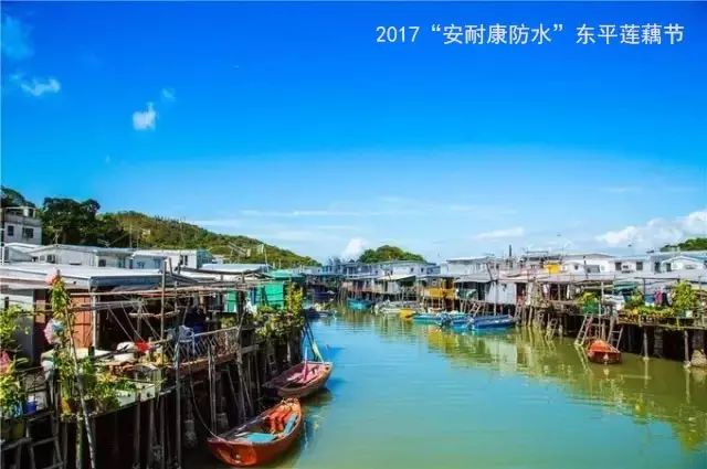 阳江东平镇旅游攻略_攻略阳江东平镇旅游景区_阳江东平镇旅游景点