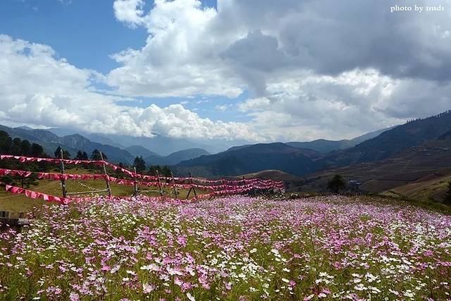 云南冬天旅游必去的景点_云南冬季旅游路线_云南冬天旅游攻略