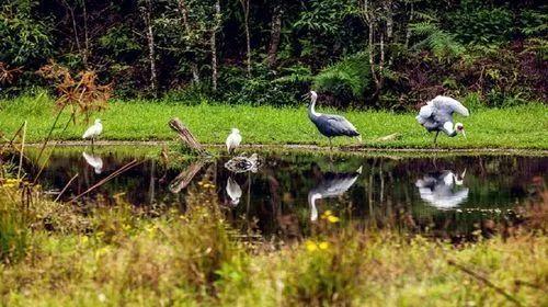 云南冬季旅游路线_云南冬天旅游攻略_云南冬天旅游必去的景点