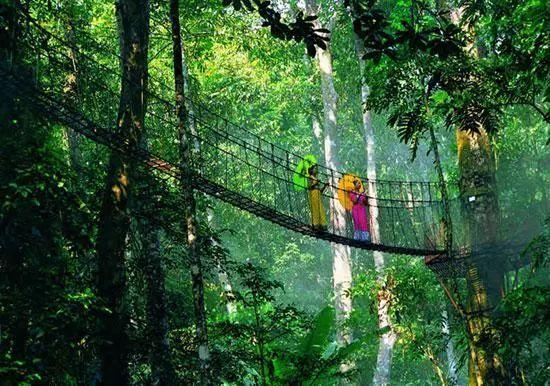 云南冬季旅游路线_云南冬天旅游攻略_云南冬天旅游必去的景点