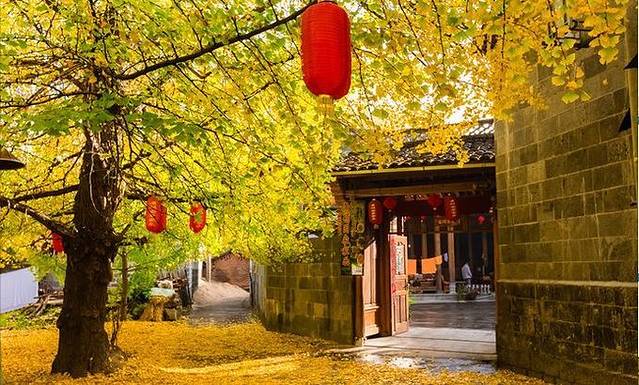 云南冬天旅游攻略_云南冬季旅游路线_云南冬天旅游必去的景点