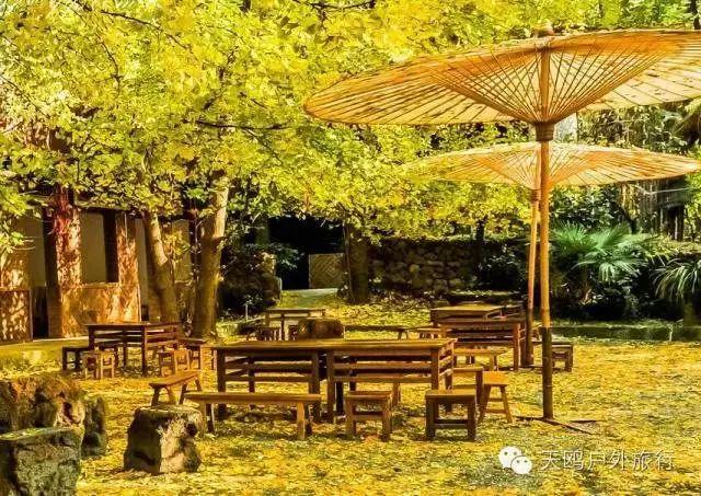 云南冬天旅游攻略-云南冬天旅游必去的景点