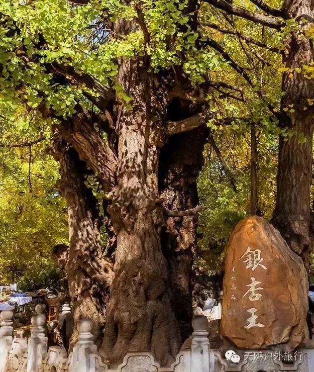 云南冬天旅游攻略_云南旅游冬天_云南冬天旅游必去的景点