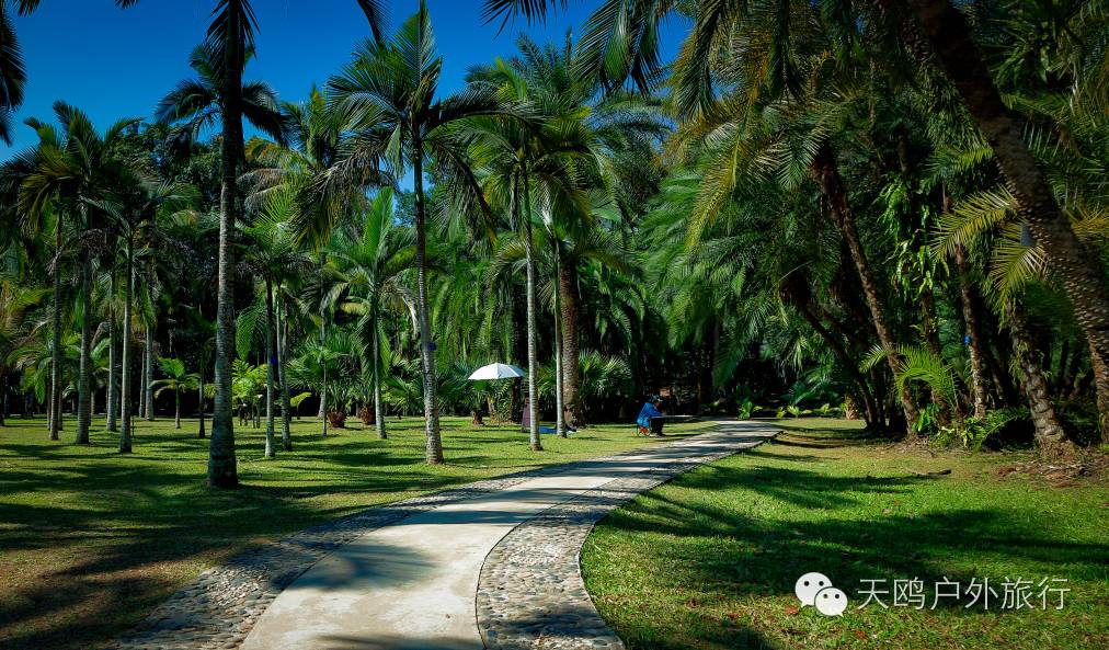 云南旅游冬天_云南冬天旅游必去的景点_云南冬天旅游攻略