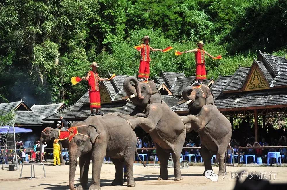 云南冬天旅游攻略_云南冬天旅游必去的景点_云南旅游冬天