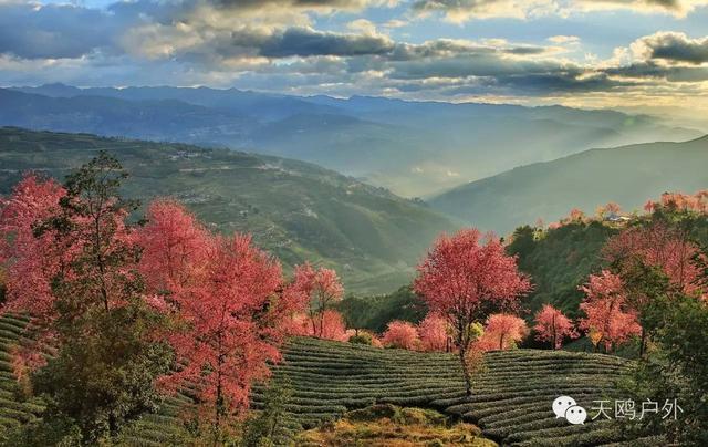 云南冬天旅游攻略_云南冬天旅游必去的景点_云南旅游冬天