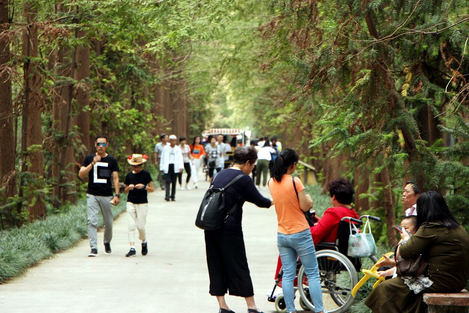 高邮湖旅游攻略_高邮湖游记_高邮湖景区