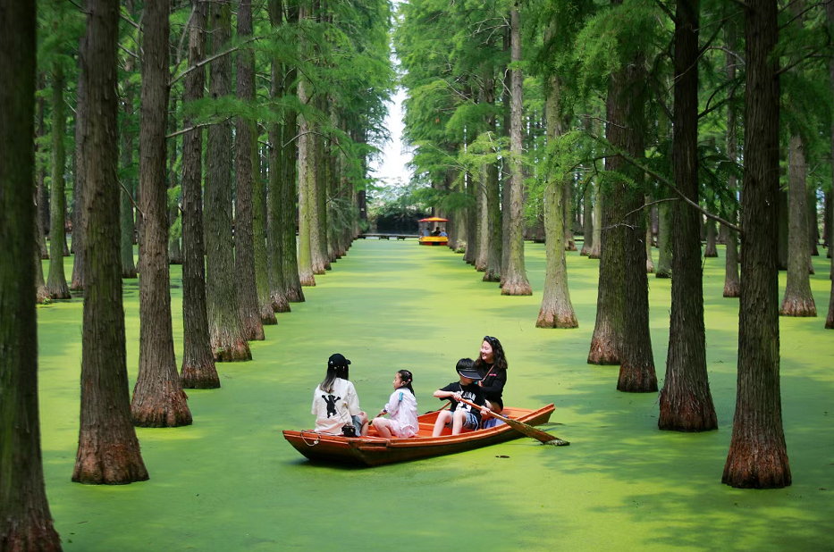 高邮湖旅游攻略_高邮湖景区_高邮湖游记
