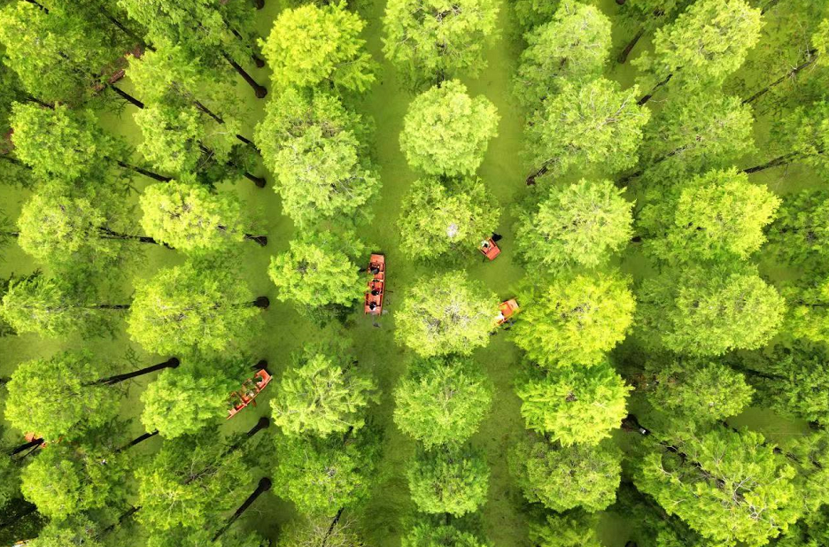 高邮湖景区_高邮湖旅游攻略_高邮湖游记