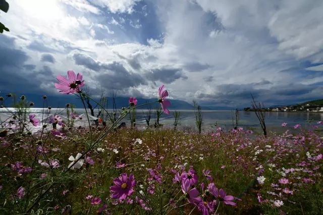 金娜英 时尚_金娜英cube_金娜英madclown