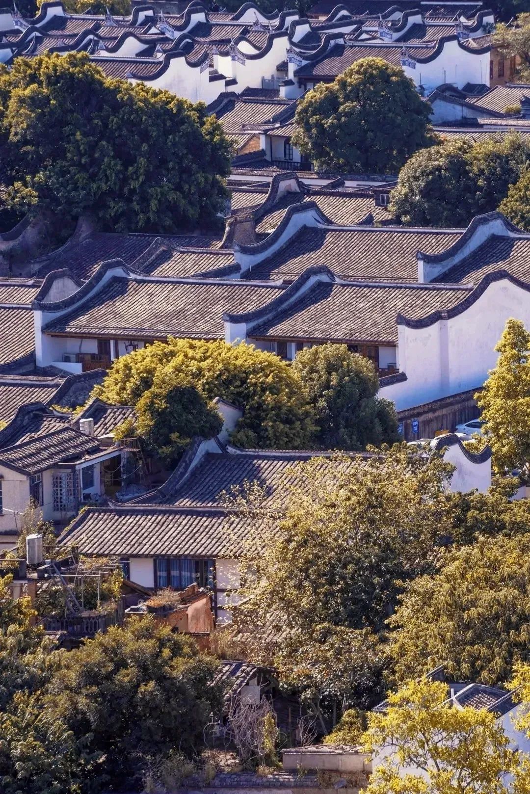 福州闽江游玩_福州闽江一日游游船时刻表_福州闽江旅游攻略