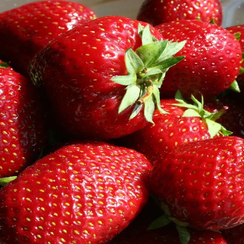 福州闽江游玩_福州闽江旅游攻略_福州闽江一日游游船时刻表