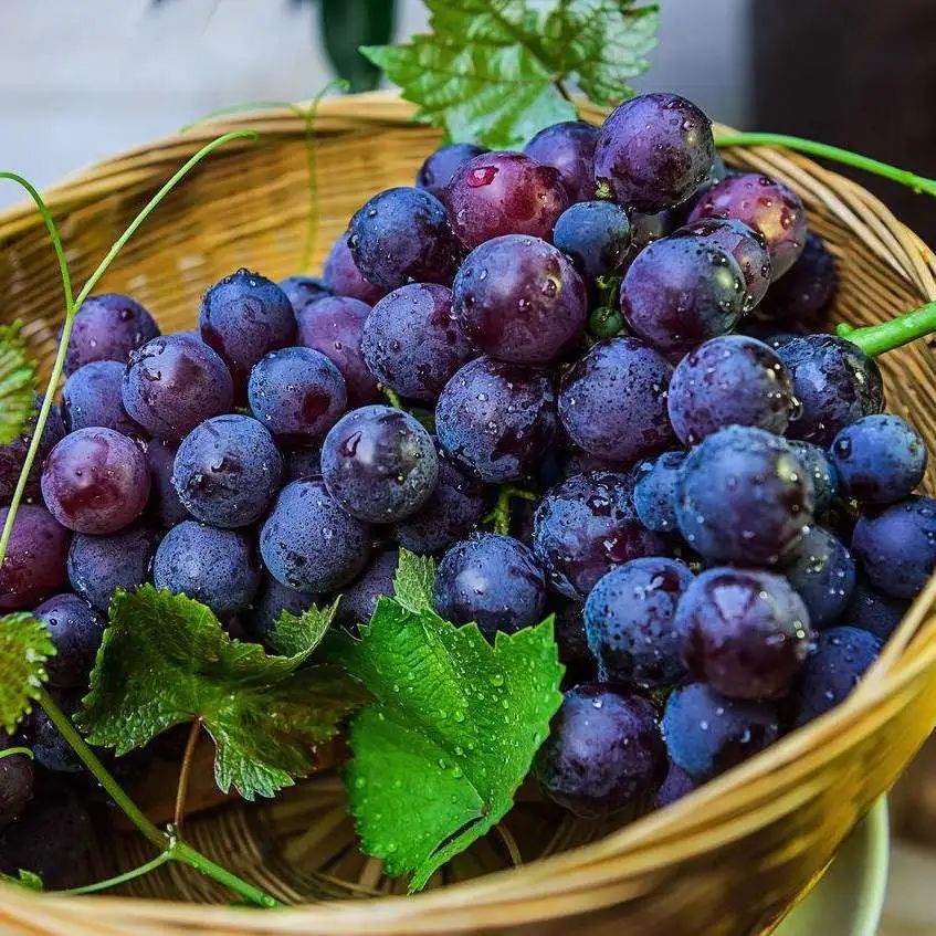 福州闽江一日游游船时刻表_福州闽江游玩_福州闽江旅游攻略
