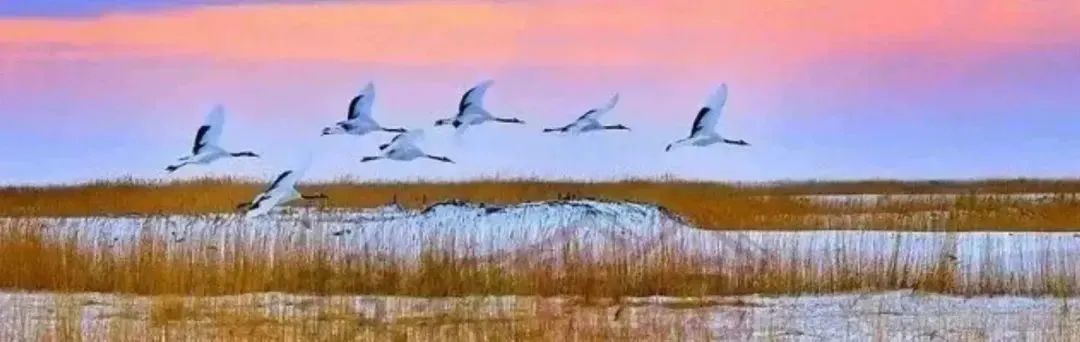 伊春旅游攻略自助游_伊春 旅游攻略_伊春旅游攻略自由行