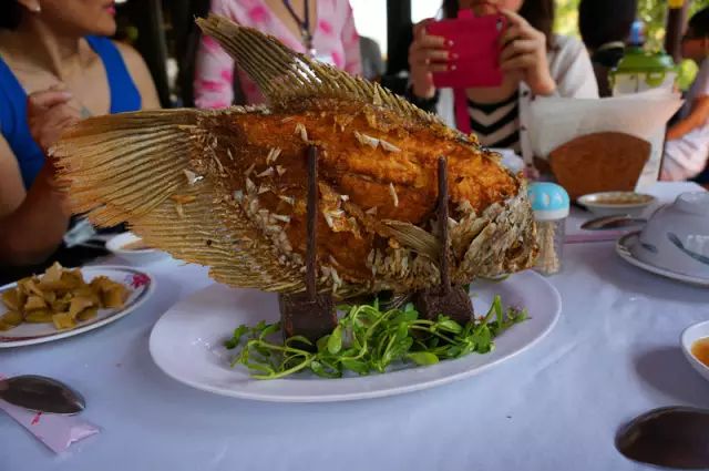 越南胡志明市位置图_越南首都胡志明市旅游攻略_越南第一大城市胡志明市